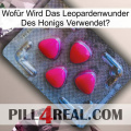 Wofür Wird Das Leopardenwunder Des Honigs Verwendet 13